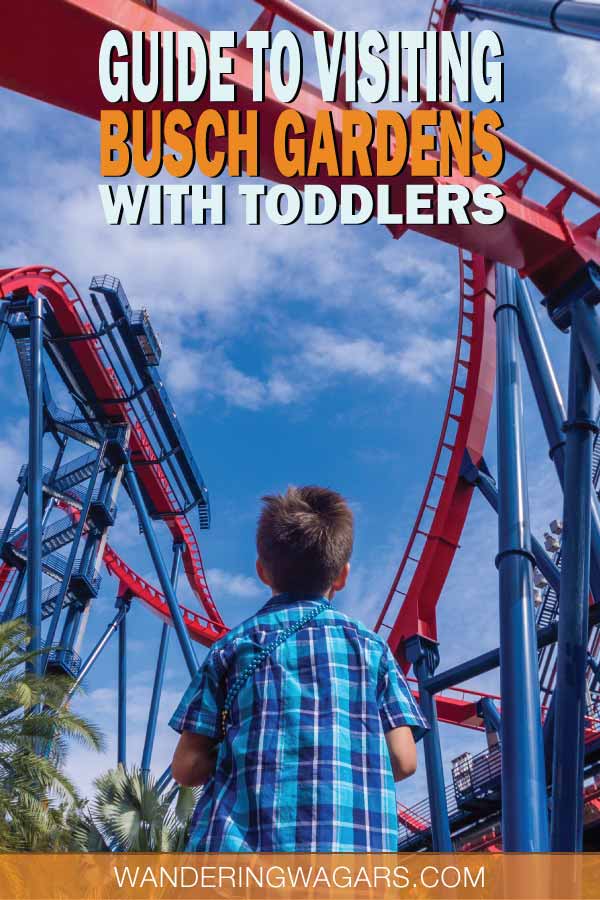 Guide To Visiting Busch Gardens With Toddlers