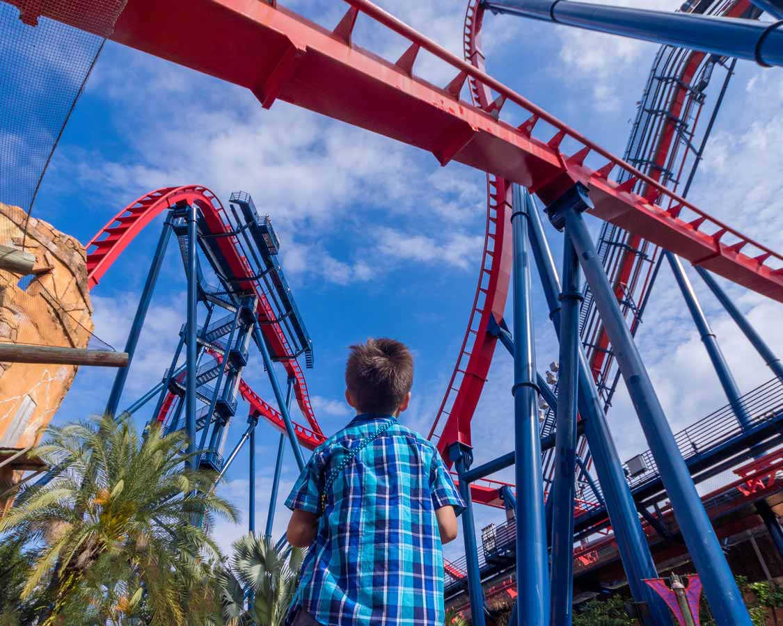 Child looking up at rollercoaster at Busch Gardens with children