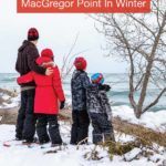 Why You Should Visit MacGregor Park In The Winter