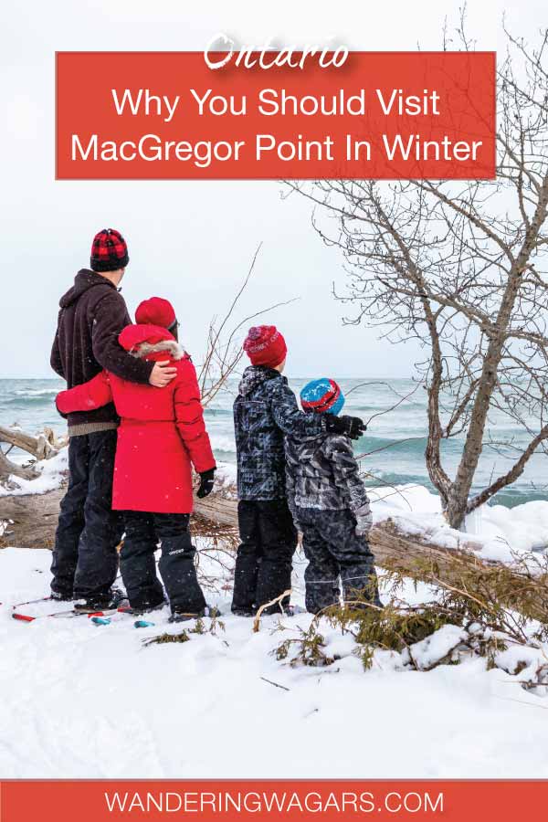 Why You Should Visit MacGregor Park In The Winter