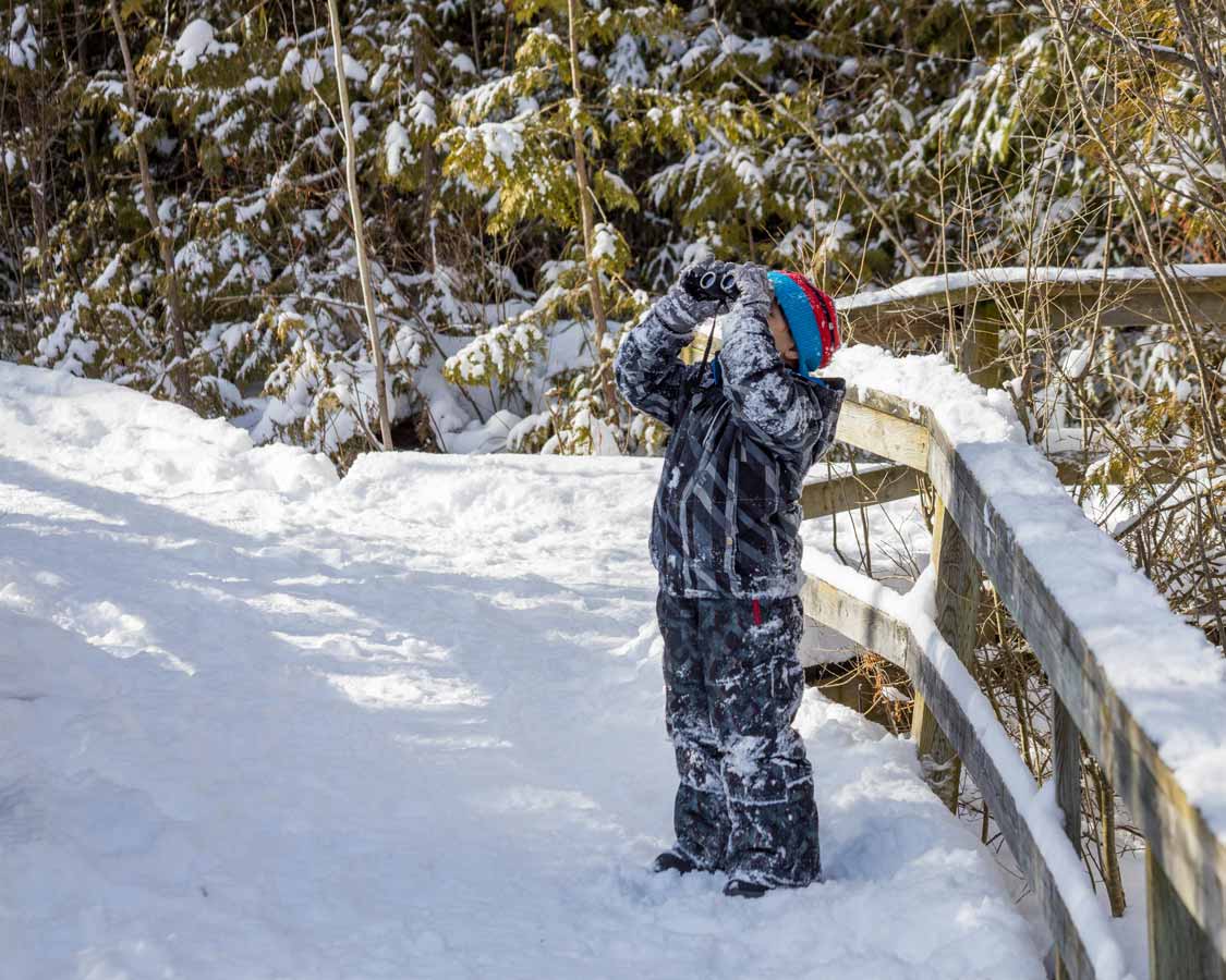 Young boy bird watching at Macgregor Point in winter