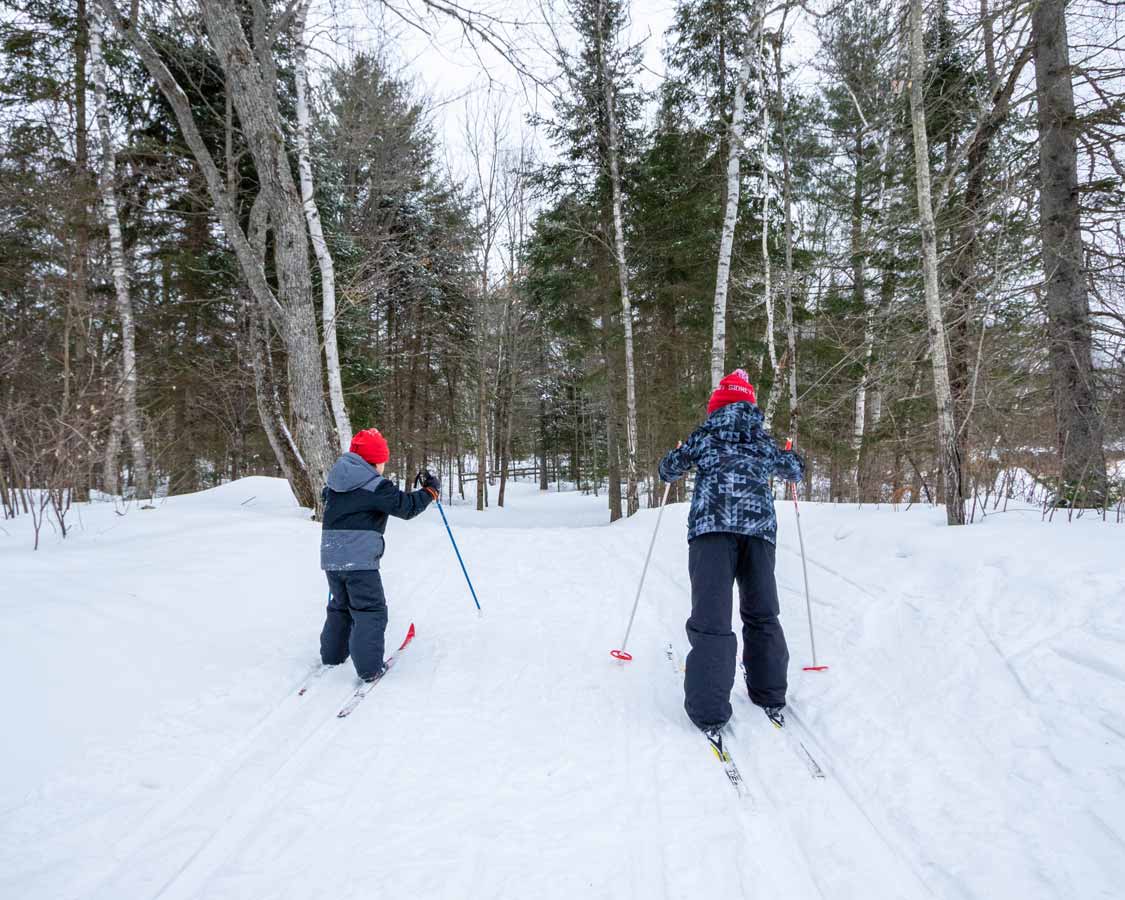 Young boys cross-country skiing at MacGregor Point during winter