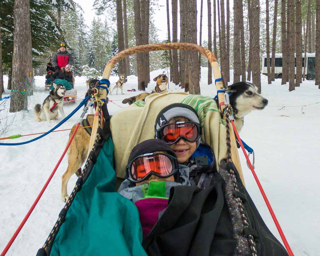 kids dog sledding on a family ski trip