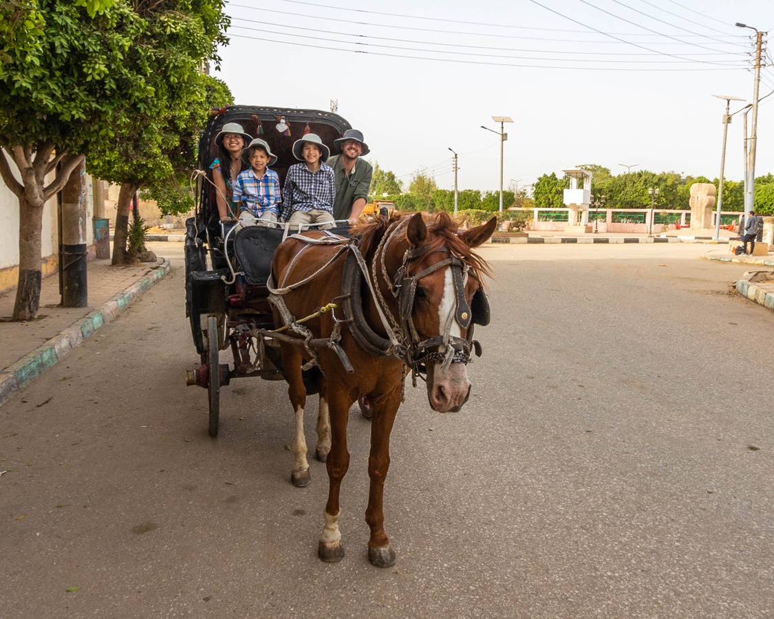 Wandering Wagars in Kom Ombo Temple Egypt