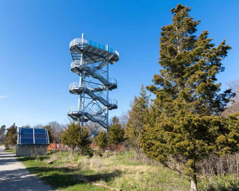 Point Pelee National Park Camping: Tips For Visiting The Southernmost ...