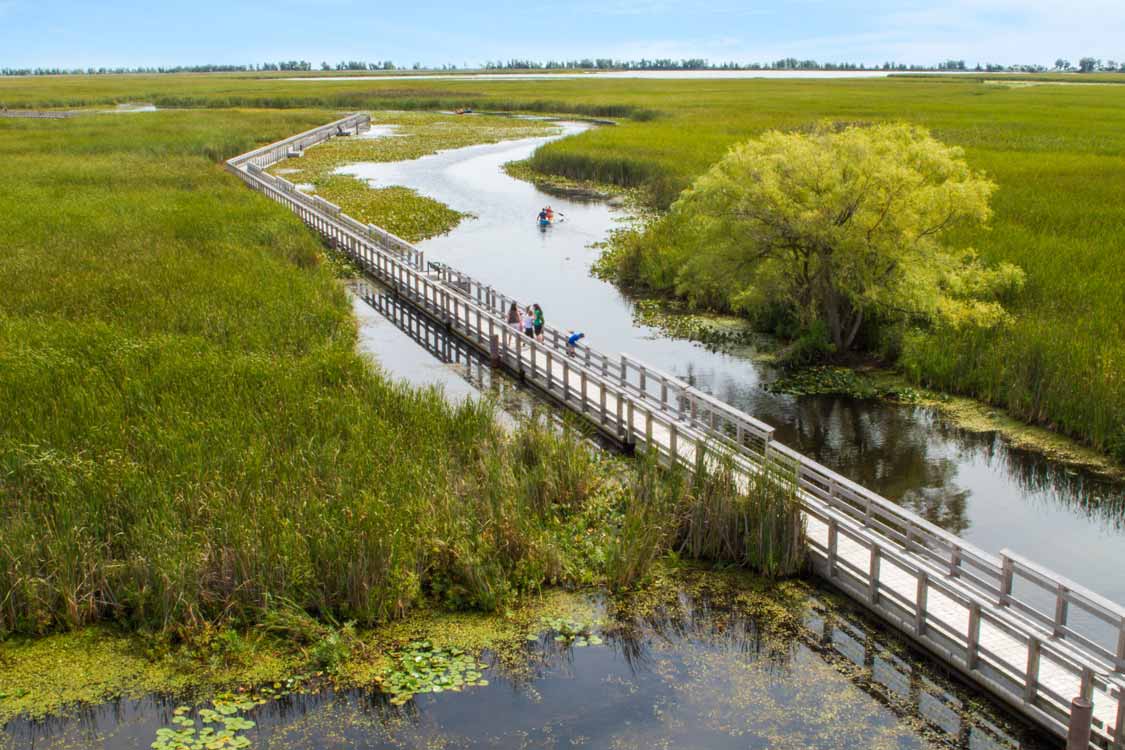 Point Pelee Marsh Boardwalk Canoeing