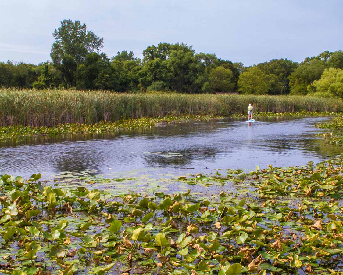 Point Pelee NP SUP rentals