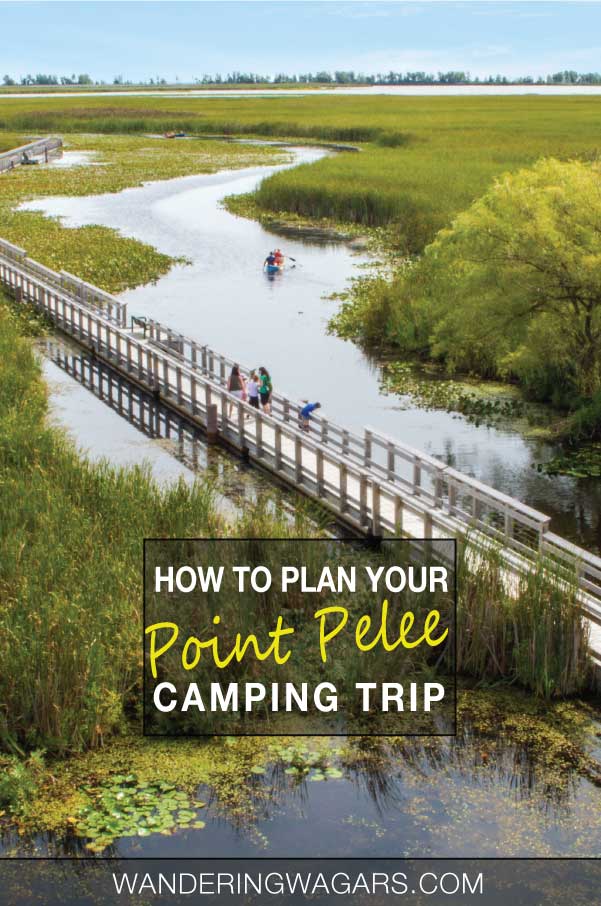 Point Pelee National Park Camping Tips For Visiting The Southernmost