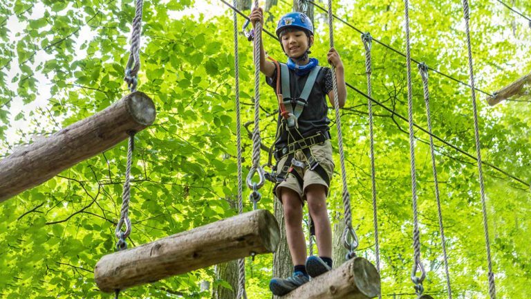 Point Pelee National Park Camping: Tips For Visiting The Southernmost ...