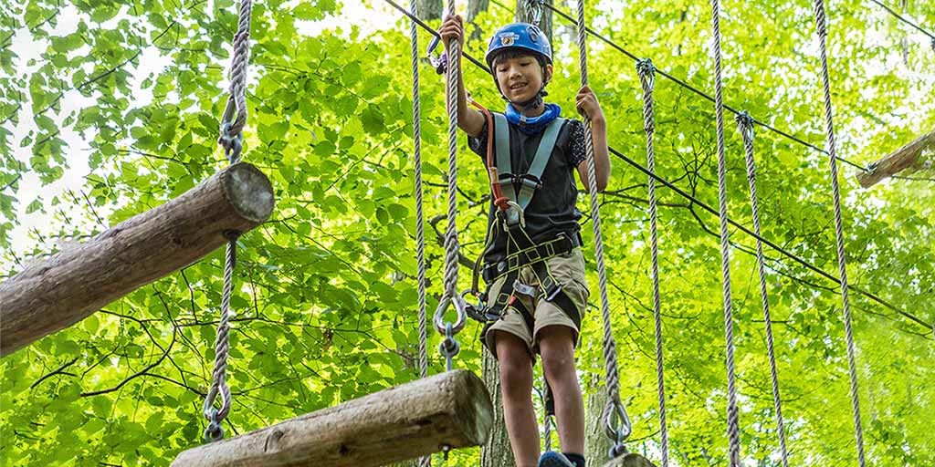 Treetop Trekking Stouffville