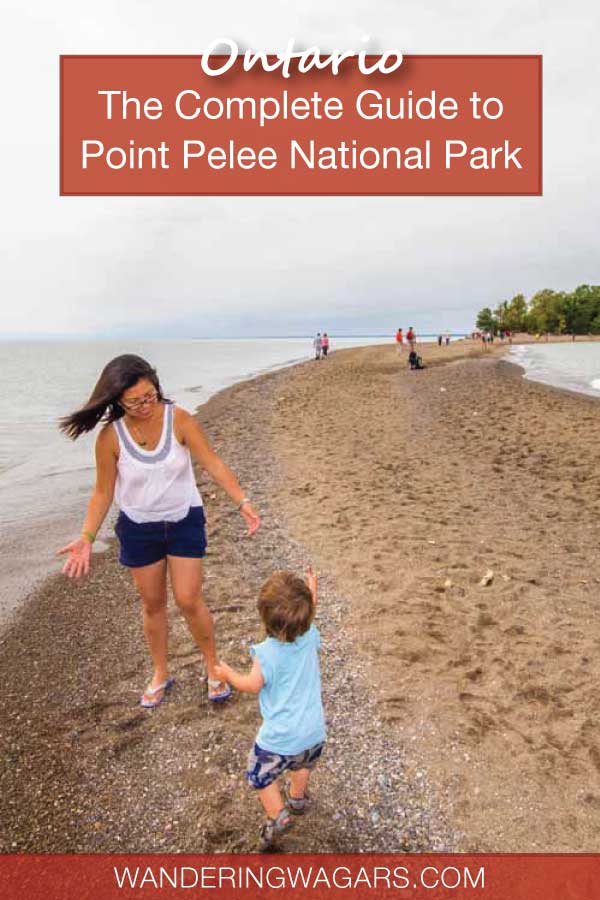 Complete guide to Point Pelee National Park