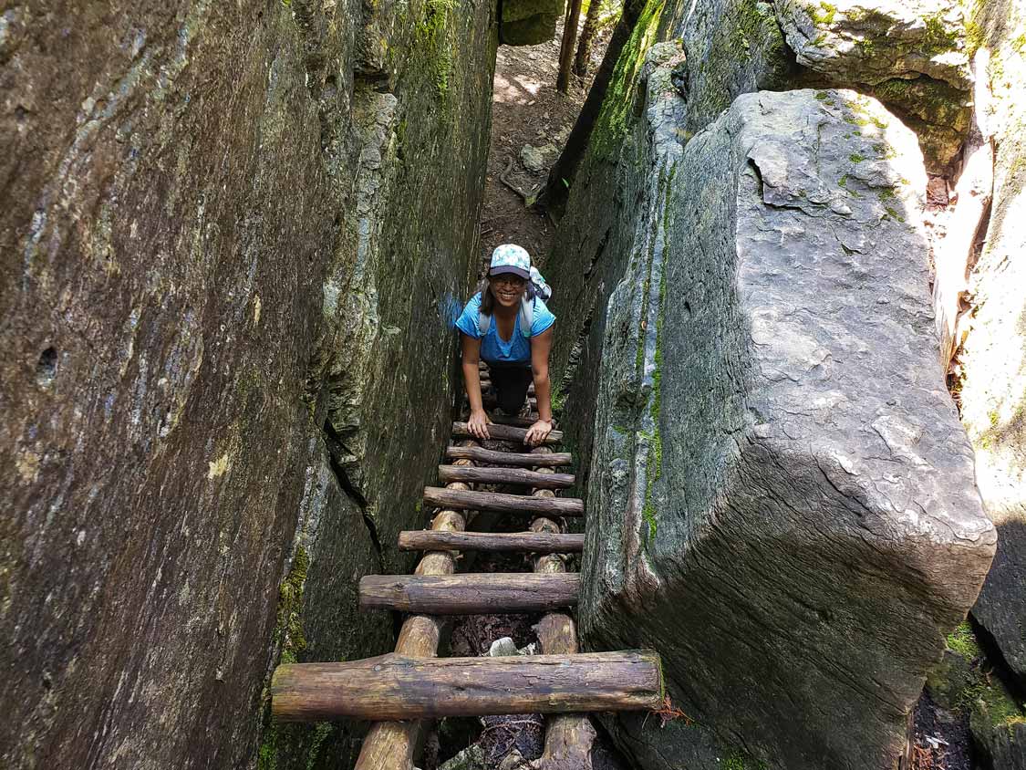Climbing the ladders on the Cup and Saucer Adventure Trail