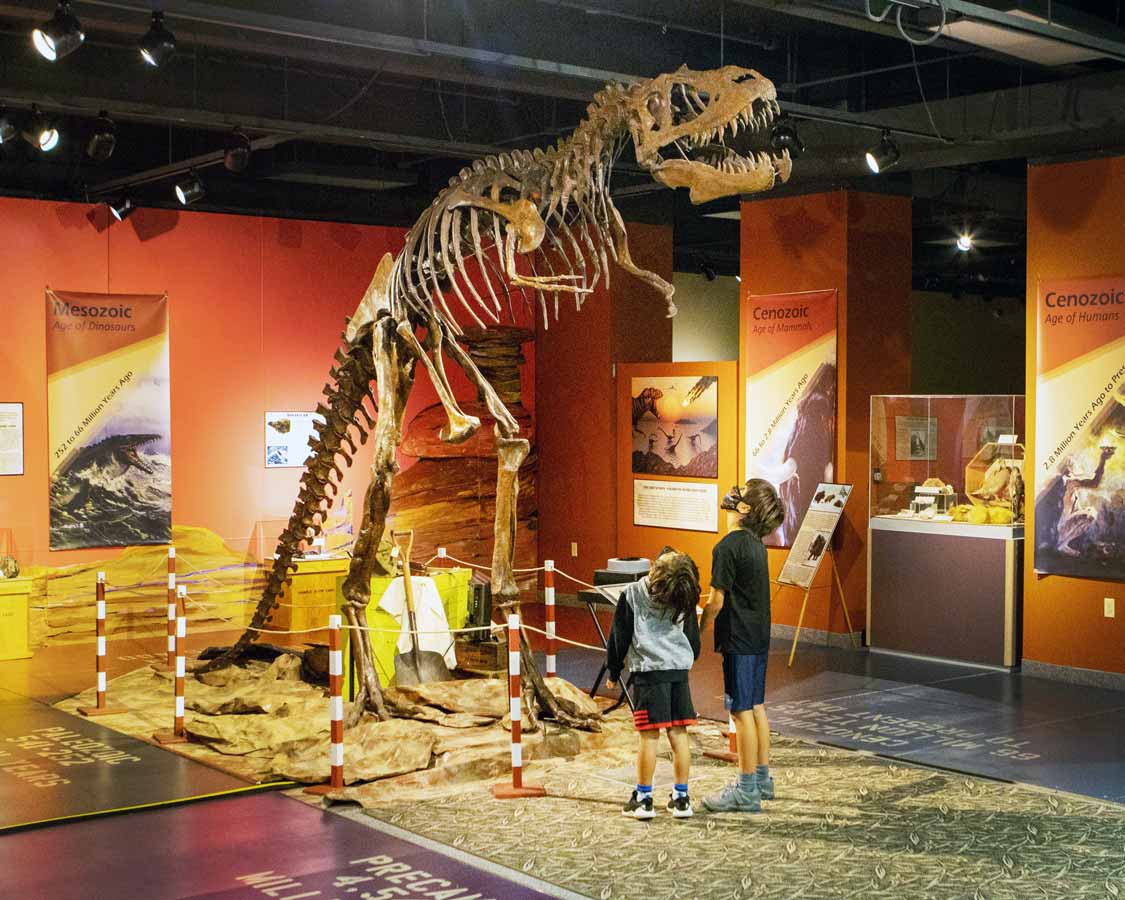 Albert the Albertasaurus at the Thunder Bay Museum
