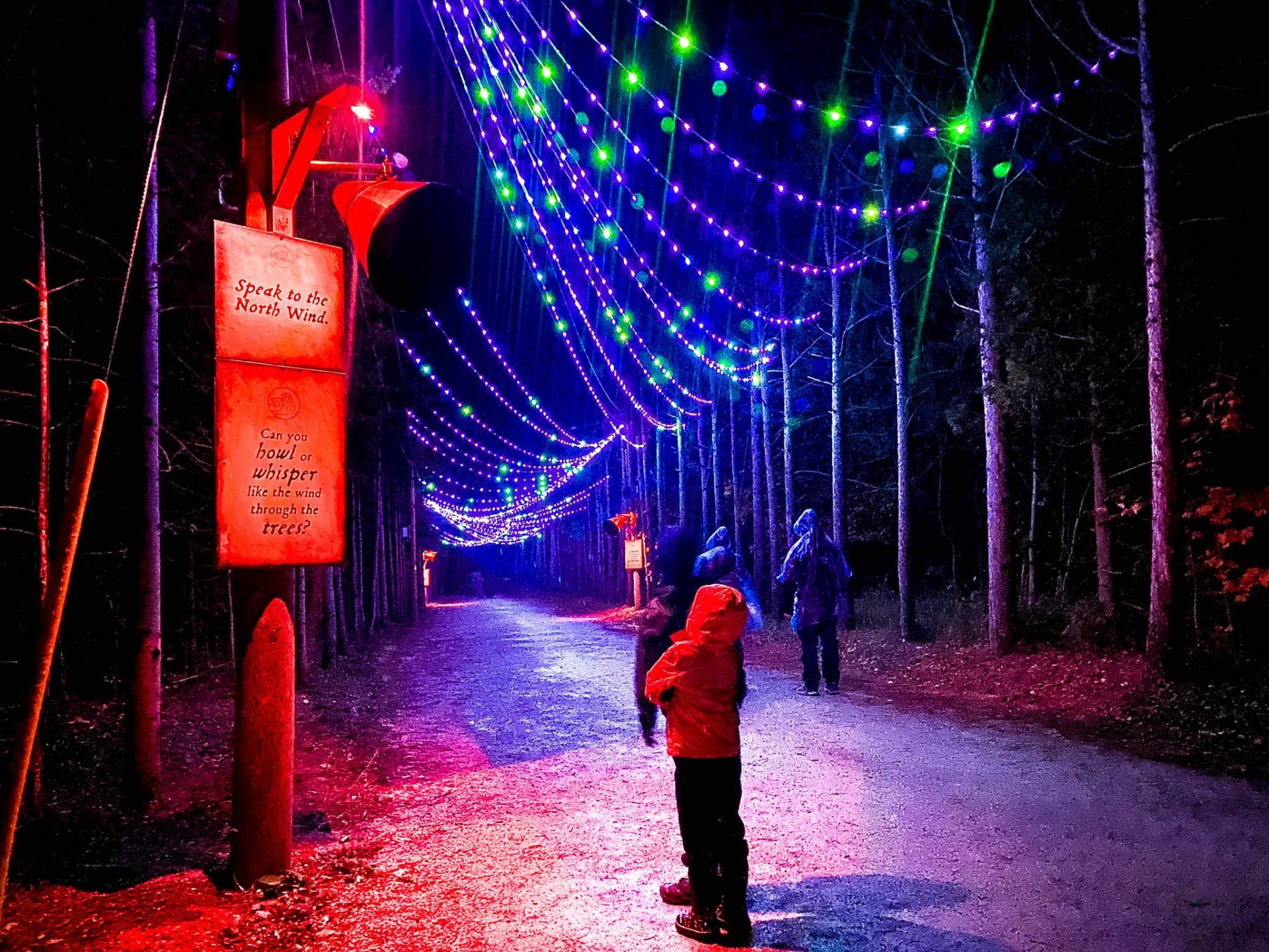 Agora Light Trail at Blue Mountain