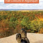 Fall colours in Algonquin Park