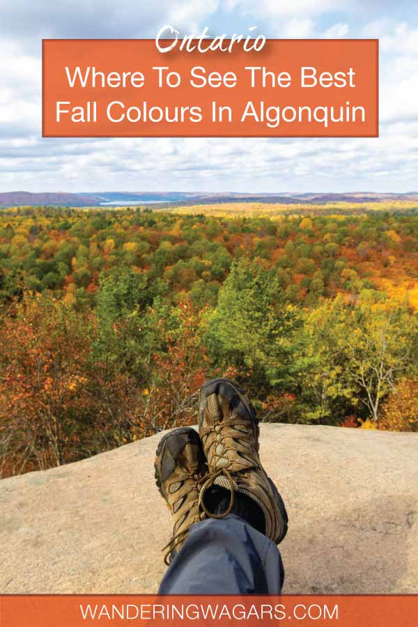 Fall colours in Algonquin Park