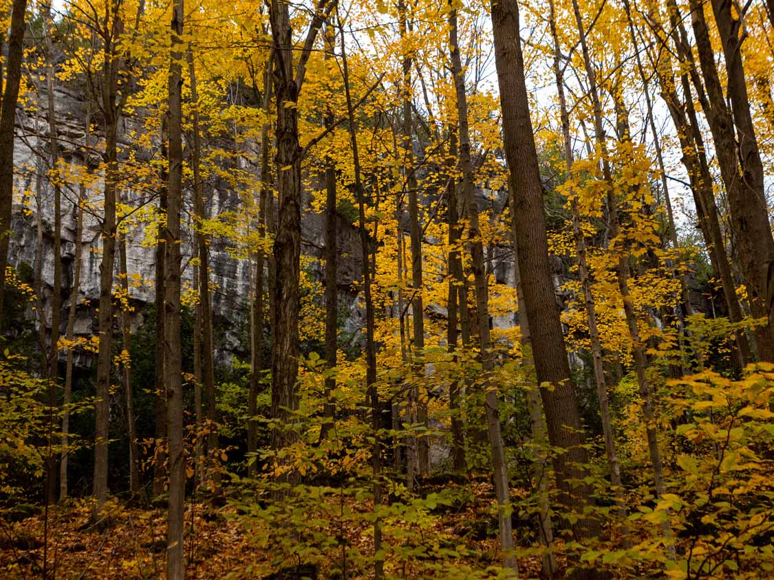 Metcalfe Rock during fall in the Blue Mountains Ontario