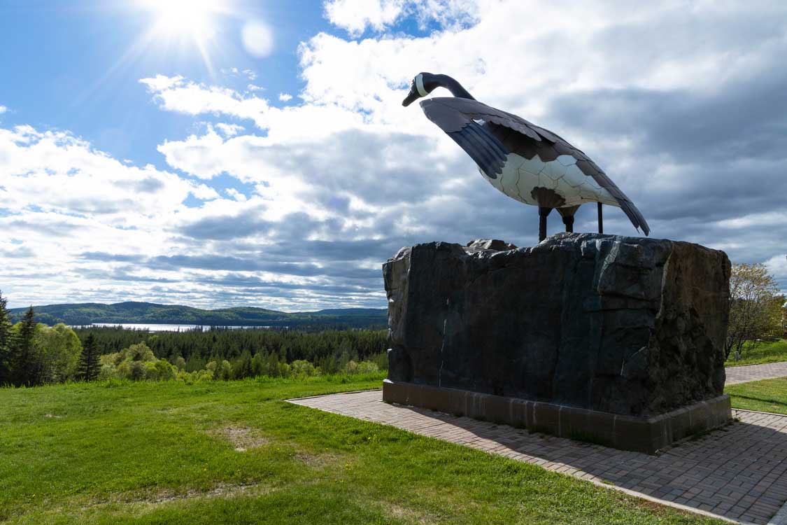 The Wawa Goose between Sault Ste Marie and Thunder Bay