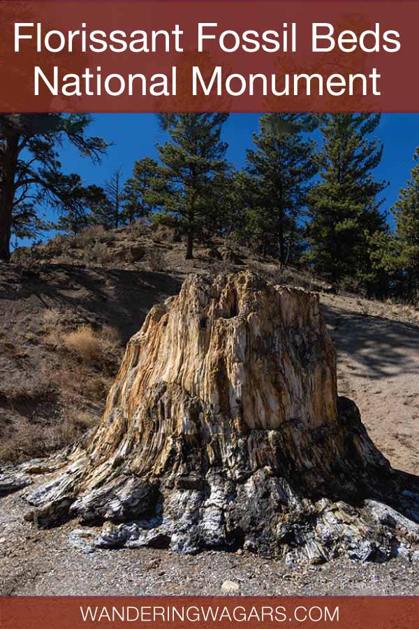 Florissant Fossil Beds National Monument