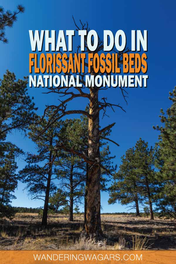 Florissant Fossil Beds National Monument