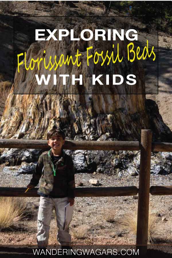 Florissant Fossil Beds National Monument