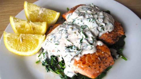 Norwegian Salmon in Dill Sauce Recipe