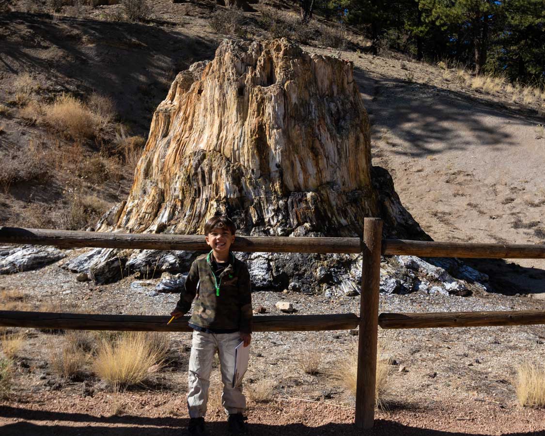 Explore a 34 Million-Year-Old Forest at Florissant Fossil Beds National  Monument - Adventure Family Travel - Wandering Wagars