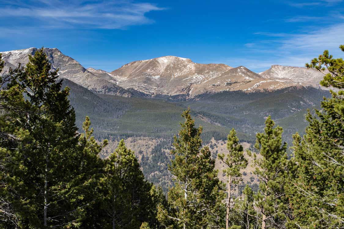 Rocky Mountains back by blue skies seen through evergreen trees