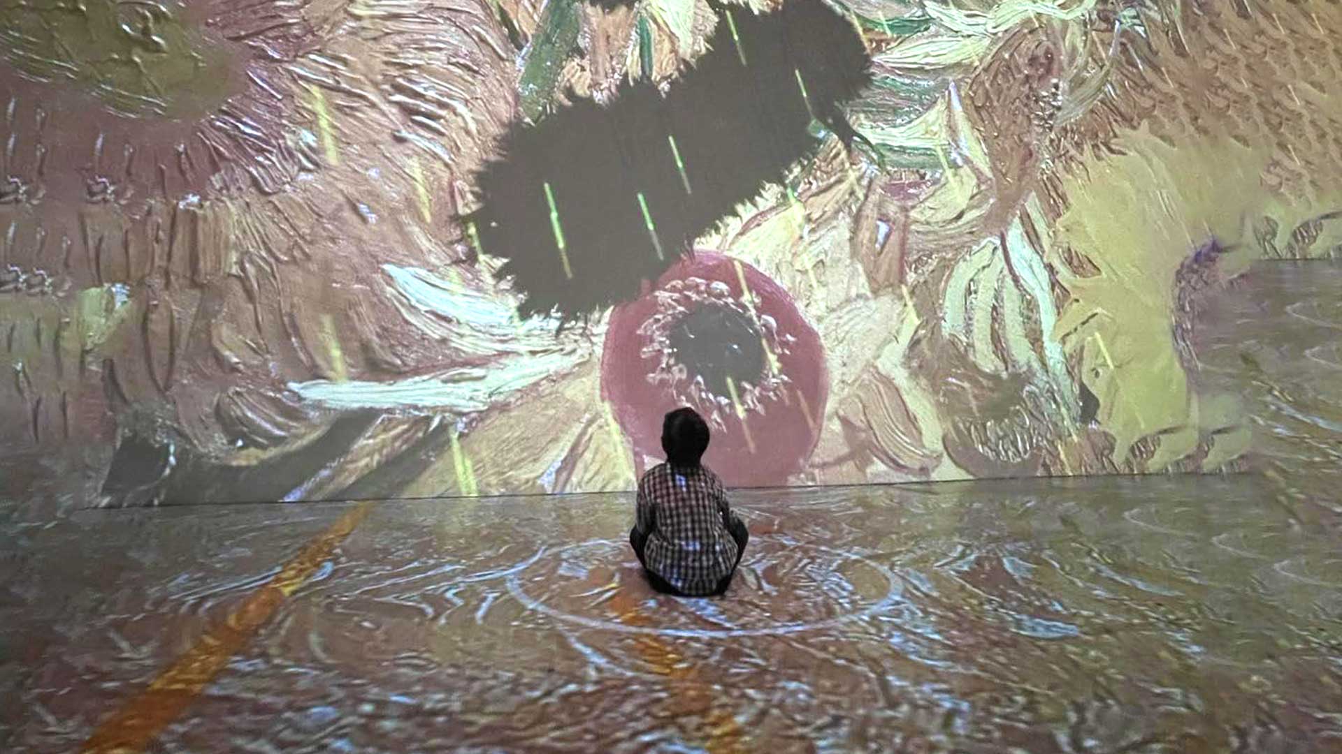 D takes in the Van Gogh light exhibit in Toronto