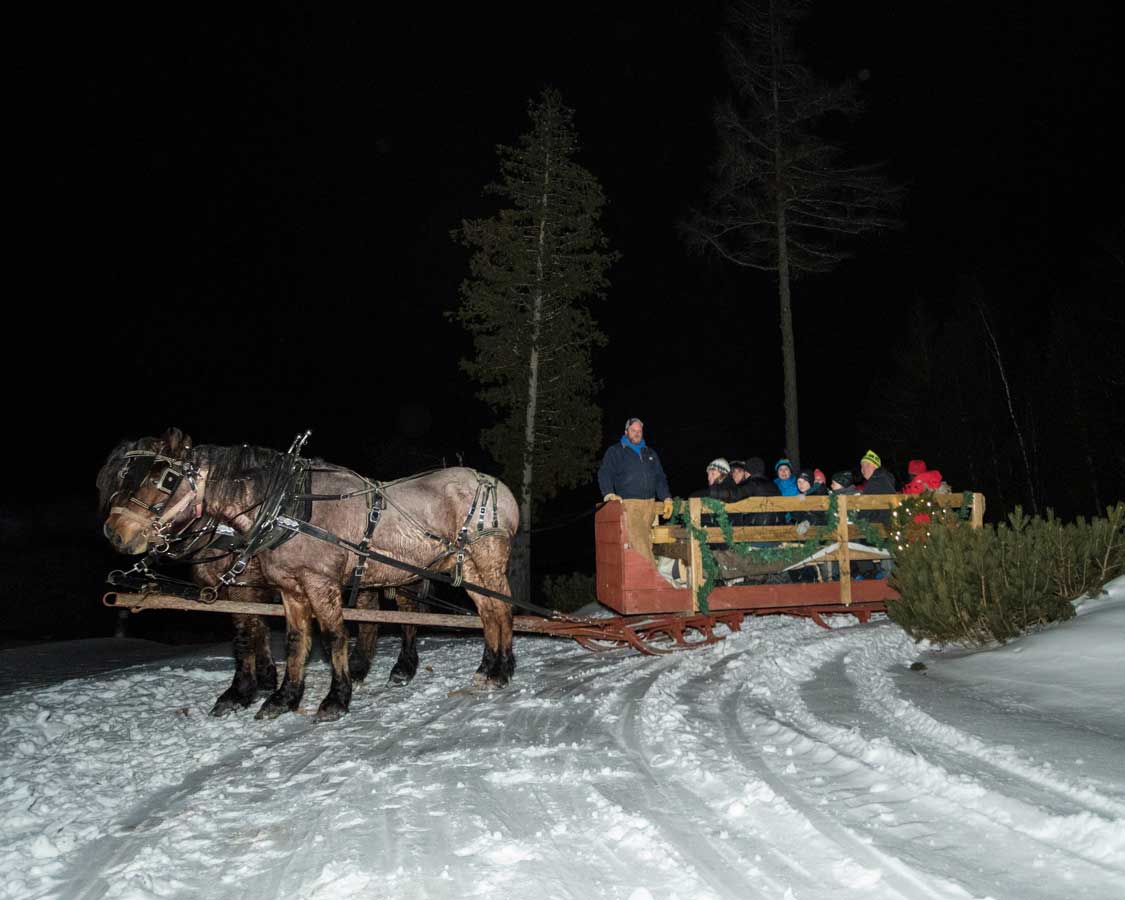 horses pull a lantern-lit carriage across the snow through a forest