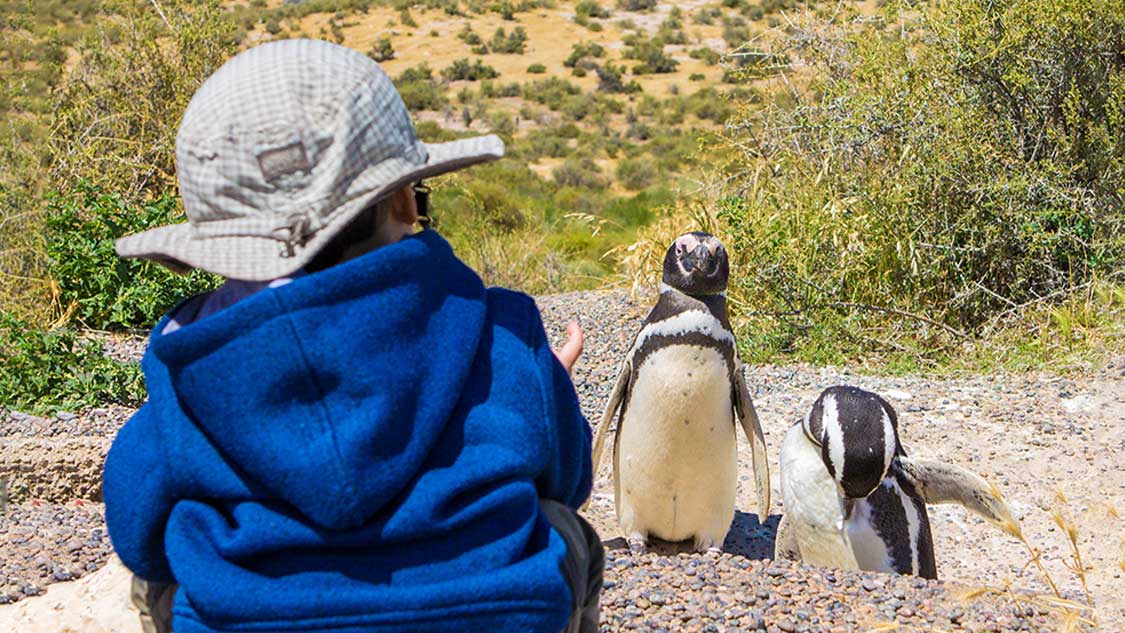 Young boy looking at Magellenic Penguins in Punta Tombo Argentina