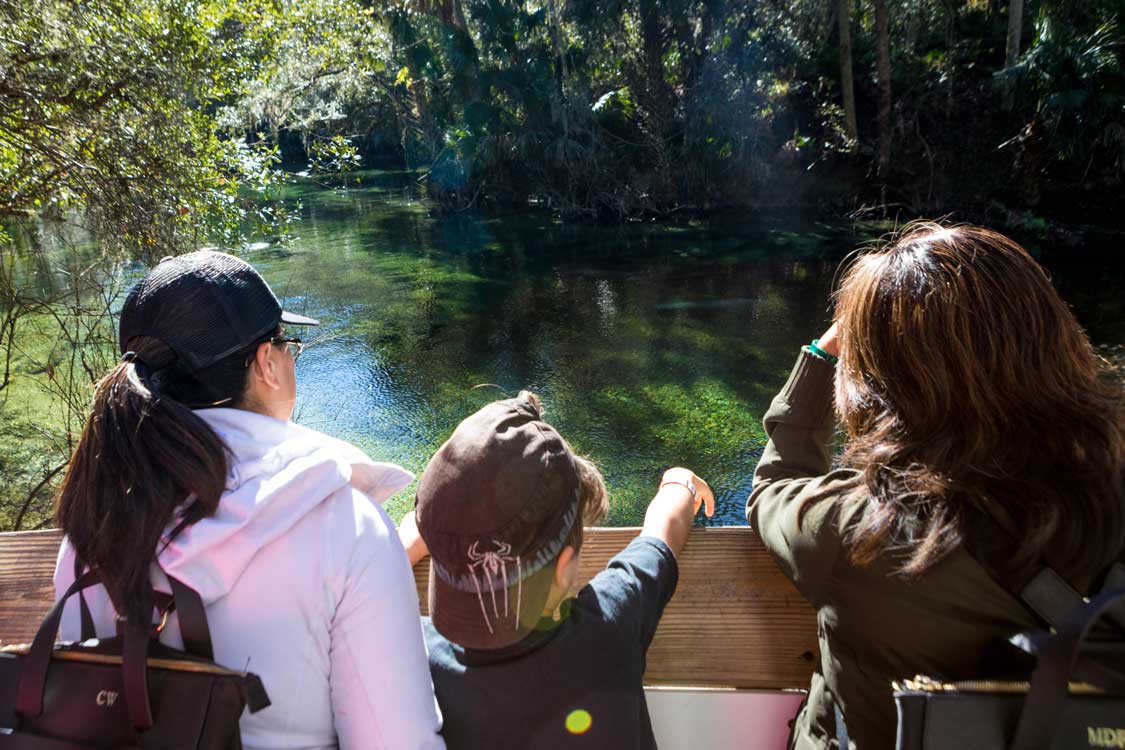 Family at Blue Springs State Park in Florida