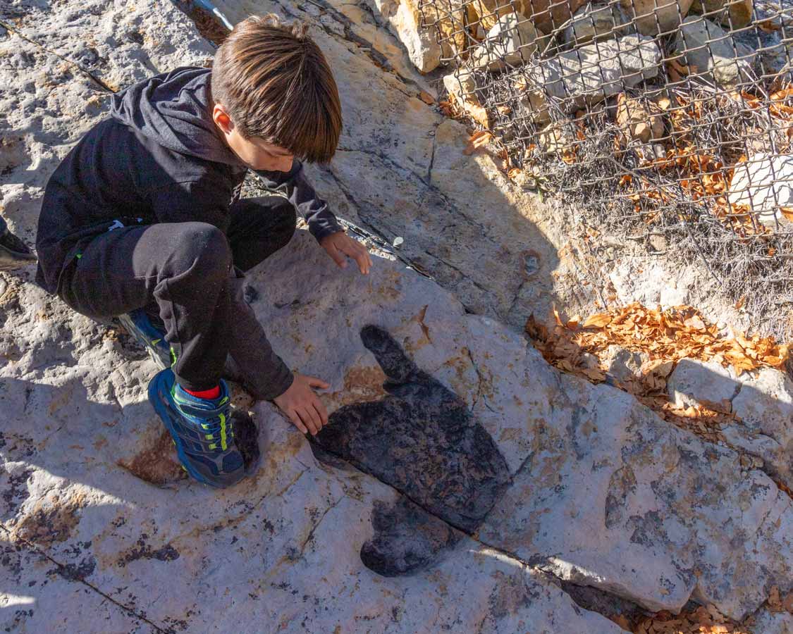 A boy places his hand next to a dinosaur footpring at Dinosaur Ridge near Denver Colorado