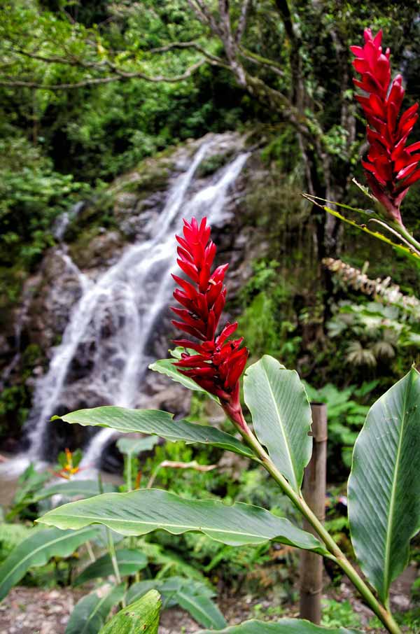 Waterfalls near Bogota