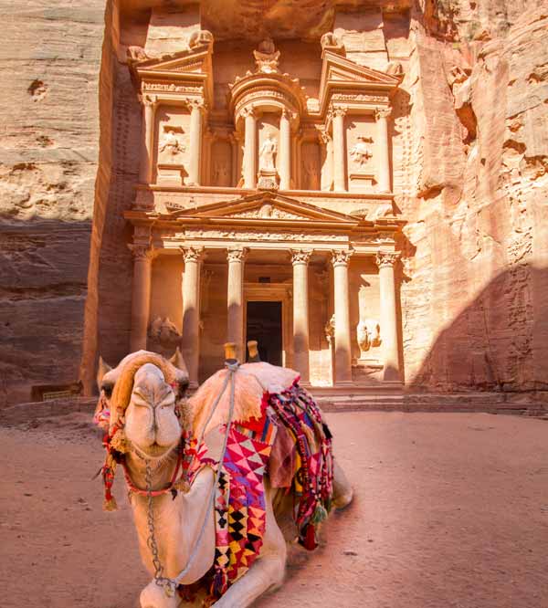 A camel lays in front of the Petra Monastery in Jordan things to do