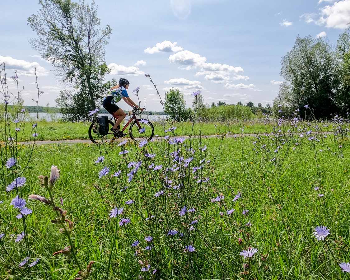 Bike trails in Leamington, Ontario