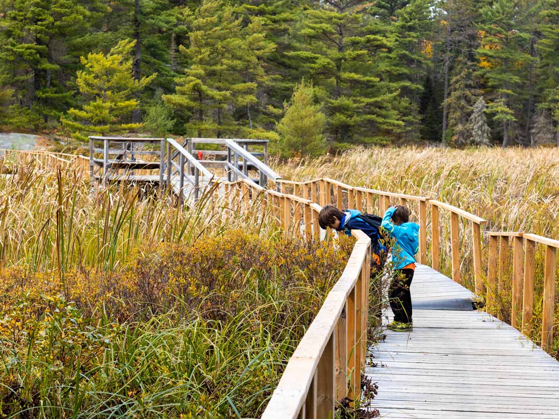 Kids hiking the boardwalk along the Grundy Lake PP Swan Lake Trail