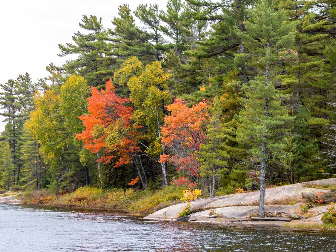 Fall colours at Grundy Lake Provincial Park