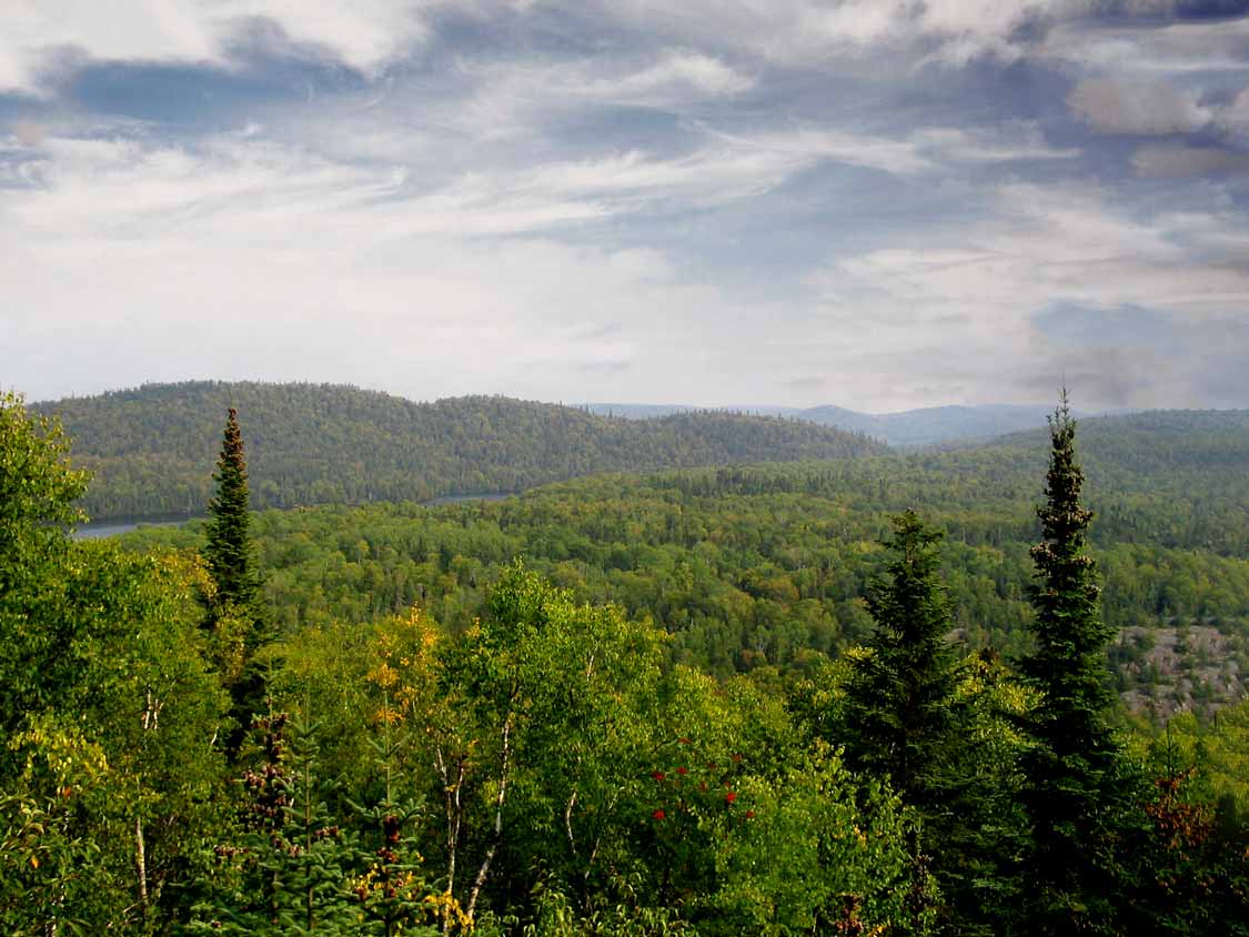 Rainbow Falls Lookout Trail