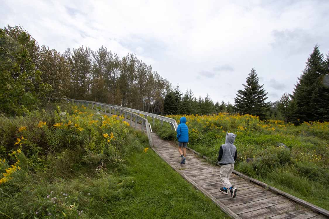 Kids hiking at Rainbow Falls Provincial Park