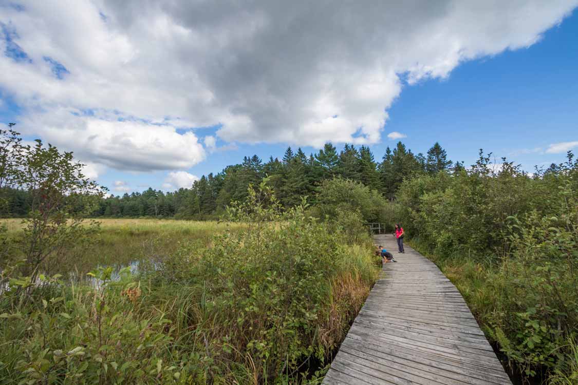 Family hiking at Petroglyphs Provincial Park