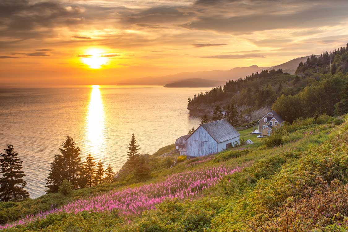 Houses among flowers in Forillon National Park in Quebec