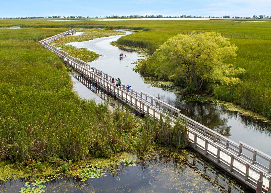 Marsh Boardwalk in Point Pelee National Park