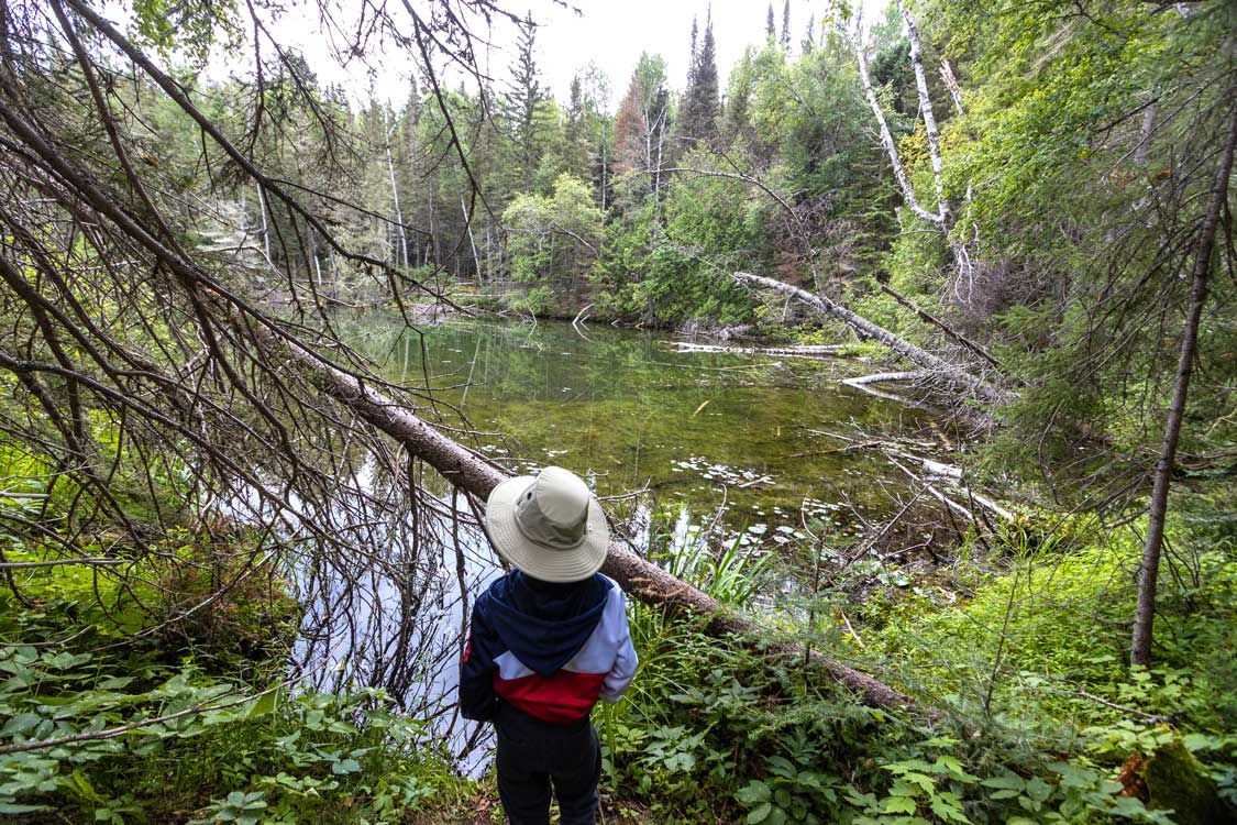Boy hiking the Saw Lake Trail in Ivanhoe Lake Provincial Park