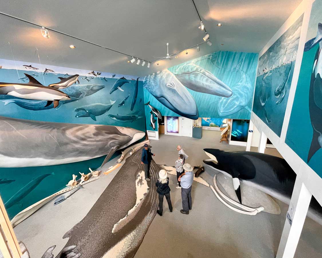 Mingan Islands Cetacean Study Museum