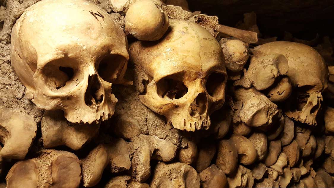Bones in the Paris Catacombs