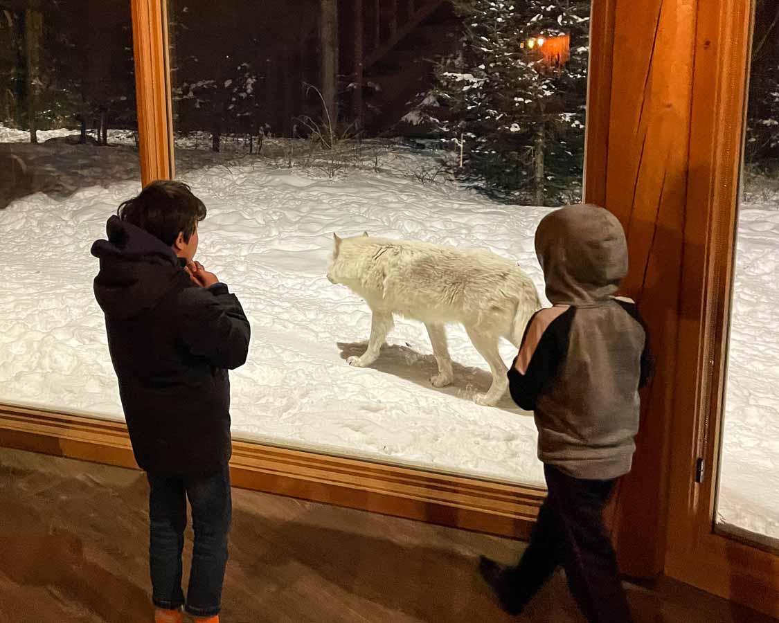 Kids at Parc Omega wolf lodge