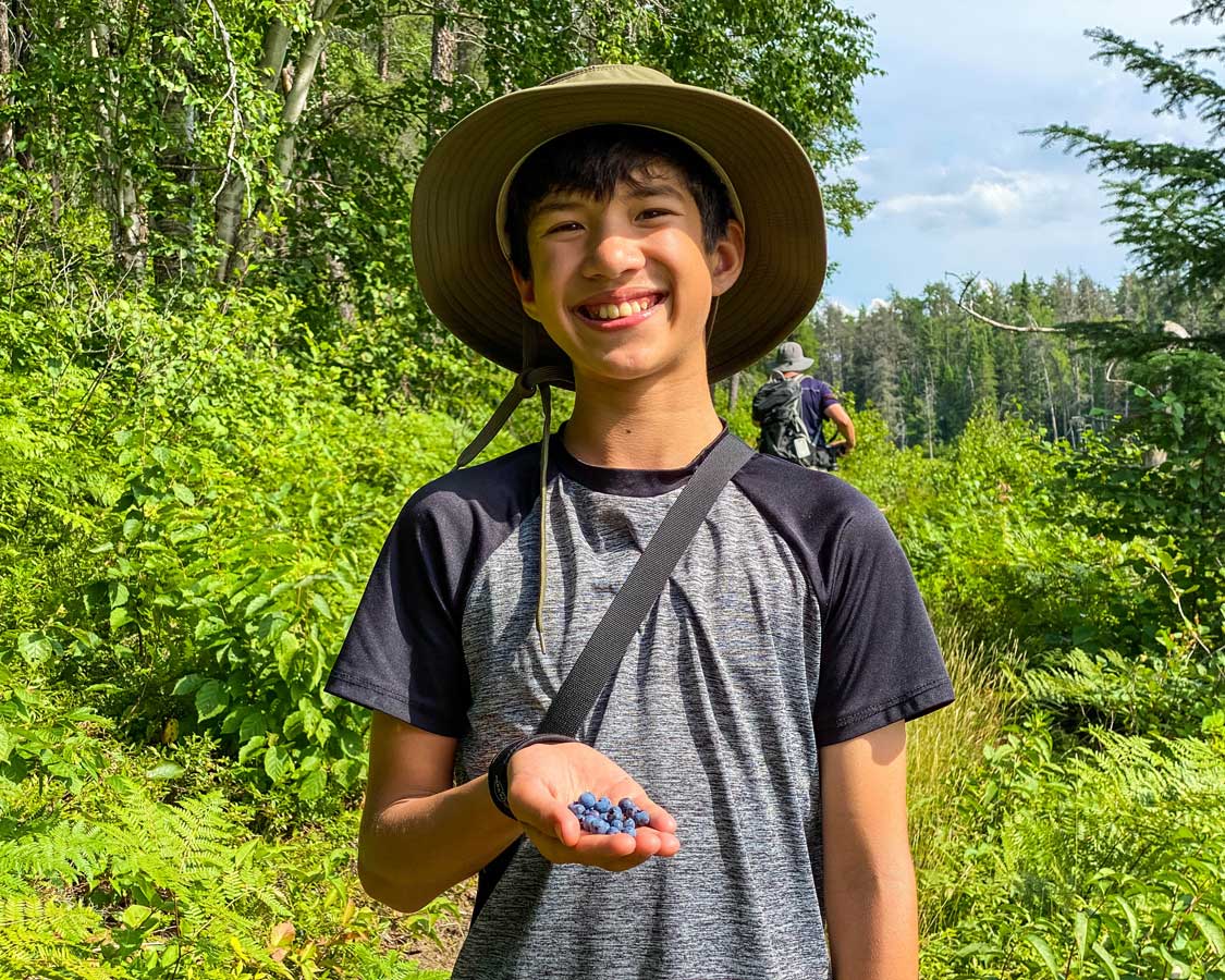 A boy picking blueberries along a trail in Esker Lakes Provincial Park