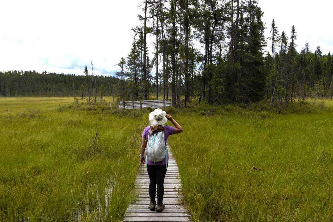 Woman hking on a boardwalk in Esker Lakes Provincial Park
