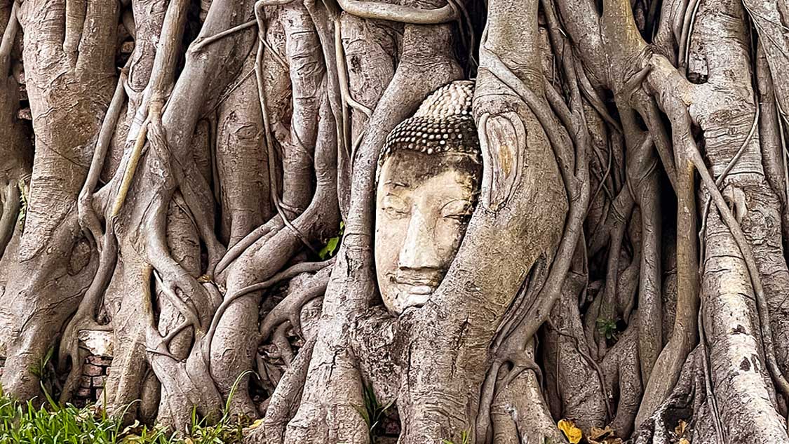 Best things to do in Ayutthaya, Thailand
